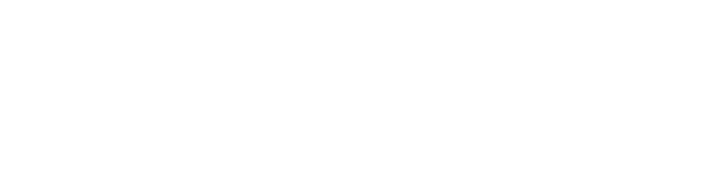providing the vital connection logo